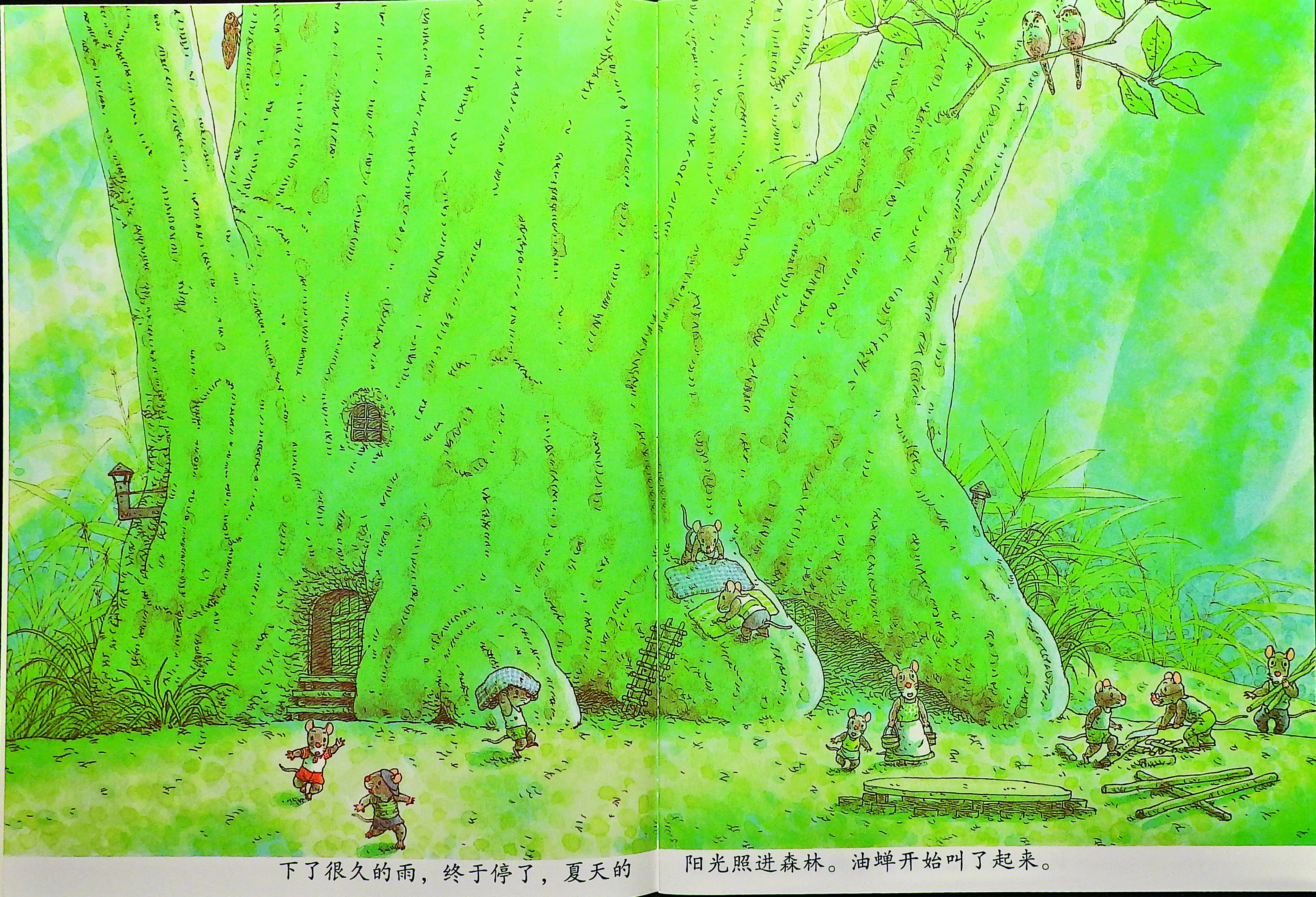 14只老鼠洗衣服 (03),绘本,绘本故事,绘本阅读,故事书,童书,图画书,课外阅读